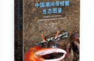 如何帮助螃蟹完成出版之旅？