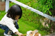 国庆期间，世界各地的兔子涌入温州的最美农庄