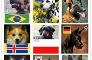 22种国家犬种的神秘面纱被揭开，你能猜对几个？