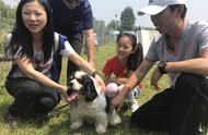 初中教师夫妇收养上海唯一的两只退役五星检疫犬“四眼”，预示着未来将有更多的退役检疫犬被领养