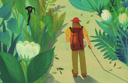 探索雨林：徒步旅行的奇妙之旅