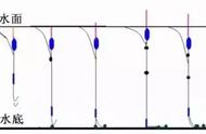 轻松掌握的调漂技巧，让你对钩饵情况一目了然！