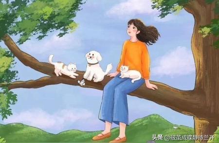 成为变色龙，本色不变的人生智慧