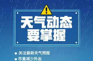 大连暴雨下的漂流奇遇：父女探险揭秘新成就！