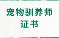 宠物驯养师证书报名指南