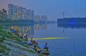 浙江钓友夜钓遭遇不明黑影，惊险瞬间揭秘！