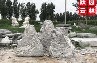 雪浪石庭院：地面绿植的完美融合