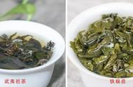 大红袍与铁观音：乌龙茶中的两大瑰宝的茶韵对比