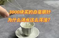 3000元白毫银针：口感鲜美柔润，为何汤水浑浊？