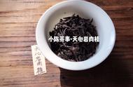 掌握六类茶的基本知识：从黑茶到乌龙茶的全面指南