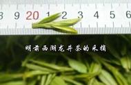 西湖龙井：一种独特的茶叶品种