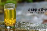 何春雷揭秘：蒙顶黄芽的消脂降血糖功效，你今天尝试过吗？