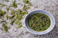 「茶艺大师」春日暖阳，雨花茶的挚爱