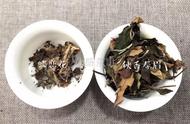 白茶散茶与饼茶，你的选择是？