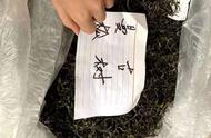 普洱茶购买指南：散茶与饼茶的比较