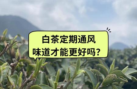 白茶储存秘笈：避免这些坑，让你的茶叶价值倍增！