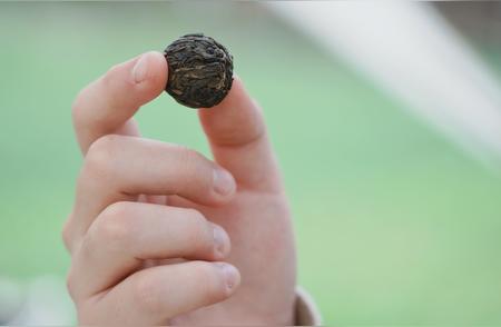 品茗之道：探索泡茶艺术的精髓