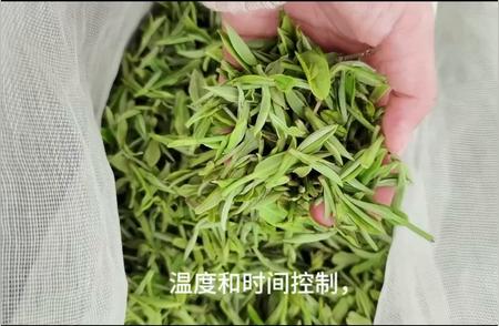 龙井茶的制作过程揭秘