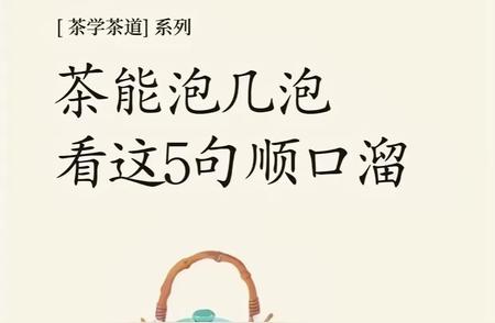 泡茶技巧大揭秘：泡几泡才最好？