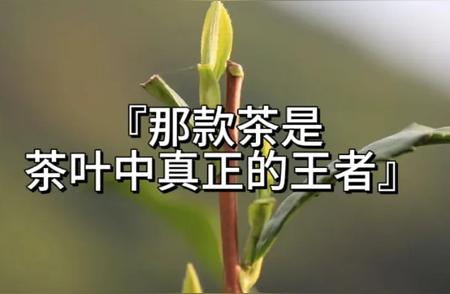 茶叶王者：揭秘茶界霸主的不凡之处