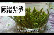 绿茶：传承千年的健康饮品