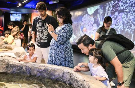 探秘吉隆坡城中城水族馆：体验海洋奇幻之旅