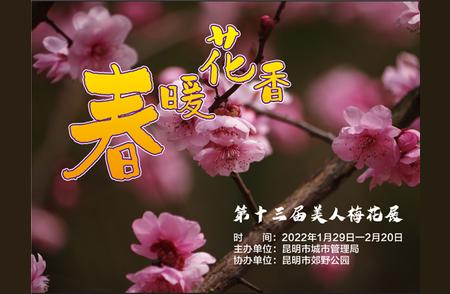 探秘本周六梅花界的‘混血儿’，与小伙伴郊野公园尽享芳华