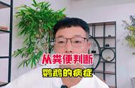 鹦鹉粪便：揭秘鹦鹉健康的第一手资料