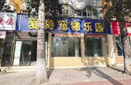 宠物店装修效果大解密：打造吸引力满满的宠物乐园！