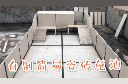 老梁教你自制简易龟池：室外搭建全过程分享