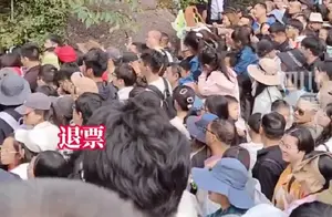 当地文旅局就“几分钟挪一人”事件致歉公众，引发广泛关注！