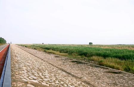 探访崇明岛滩涂地，揭秘红钳蟹的美丽世界