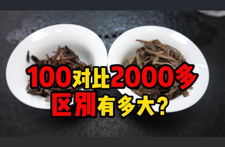 普洱茶价格大揭秘：百元与千元茶的差别究竟有多大？