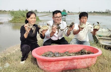 亳州别样丰景：蟹舞秋风，感受别样的丰收喜悦