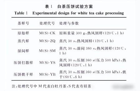 白茶散茶与饼茶：两大形态之间的区别解析