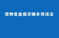 宠物盲盒背后的法律隐患解析