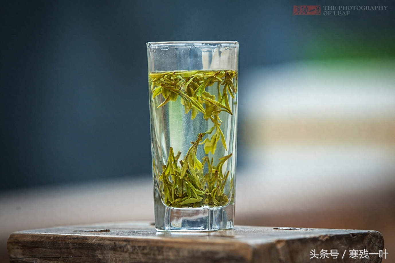 这茶才叫西湖龙井，景区买的是龙井茶，价格差很多别被骗了