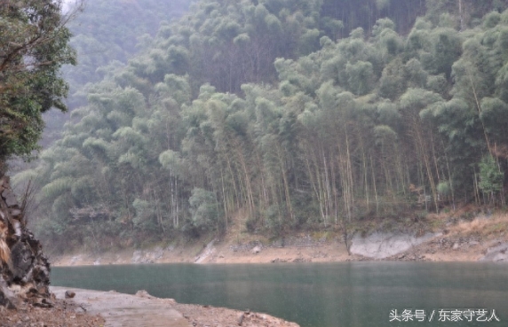 在太平湖的岛上，住着几十户种茶的中老年村民，世代守护太平猴魁