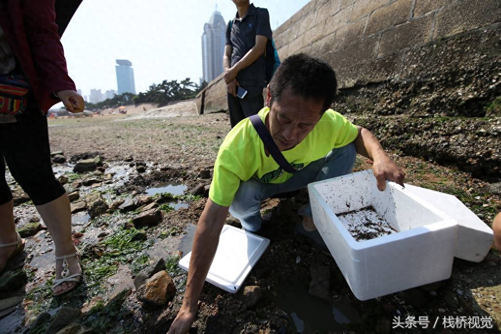 没有姜太公钓鱼的本领，就挖点海蚯蚓吧，那可是海钓“万能饵”